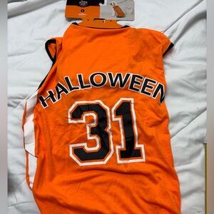 Hyde & Eek Orange Halloween Dog Costume for large breed